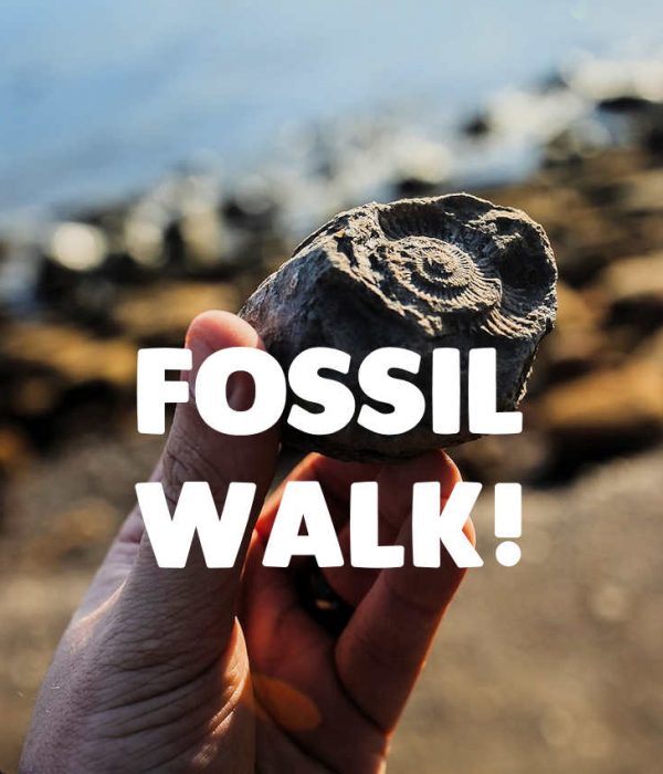 fossil walk dorset
