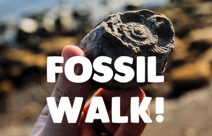 fossil walk dorset